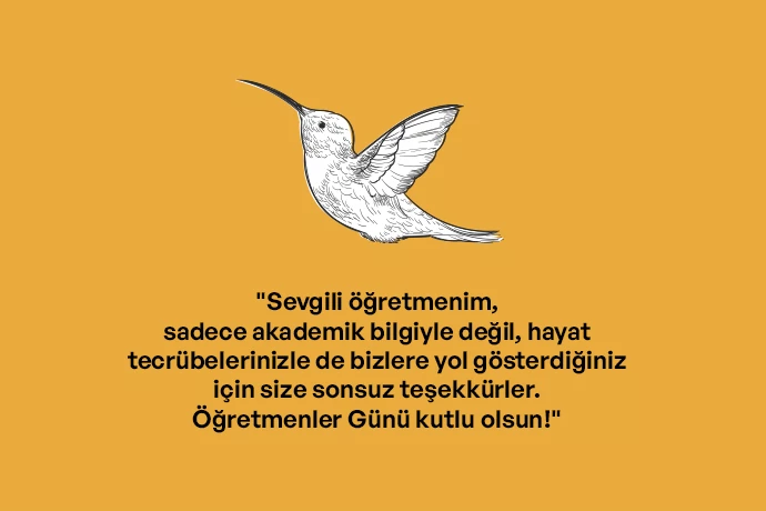 Sevgili Öğretmenim